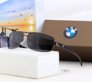 bmw polarized sunglasses