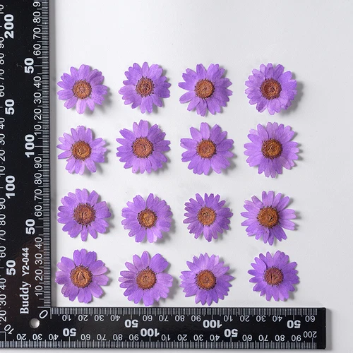Dried Pressed Flowers Natural Epoxy Resin Candle Nail Art Scrapbooking Craft AU - Picture 86 of 210