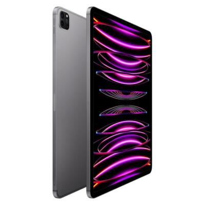 【美品】iPad Pro 12.9(2nd) / wifi / 64GB Amazon.com : Apple iPad Pro 12.9in 64GB WiFi Only, Space