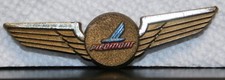 VINTAGE TOY PIEDMONT AIRLINES JUNIOR PILOT PILOTS WINGS PLASTIC 3.5" TOO COOL 