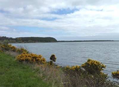 Photo 6x4 Loch Fleet Kirkton/NH7998 With the mud flats covered at near h c2017