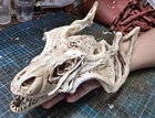 TRex Alien  Skull "1/12 scale"