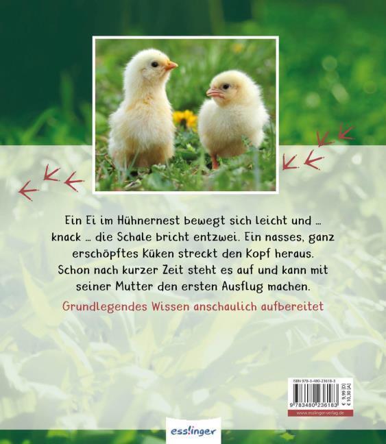 Thumbnail - Meine Große Tierbibliothek: Das Huhn Christian Havard