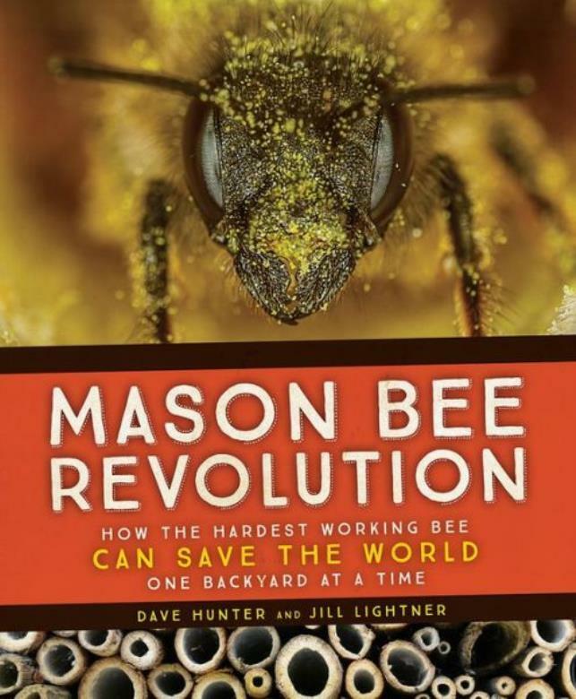 Mason Bee Revolution: How The Hardest Working Bee Can Save The World - One ...