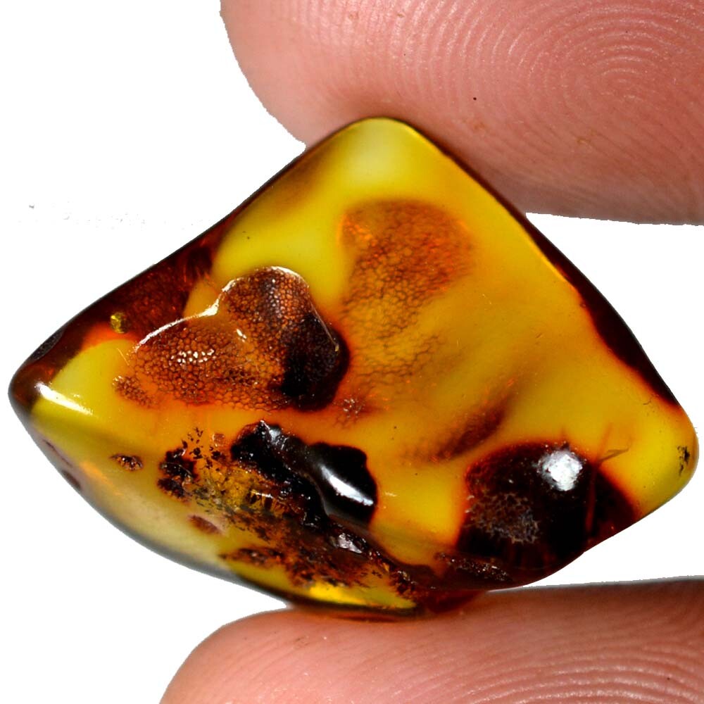 Œuf En Ambre Baltique Naturel Caramel - 618.30 Ct - Certifié AGL - Pièce Unique Non Traitée