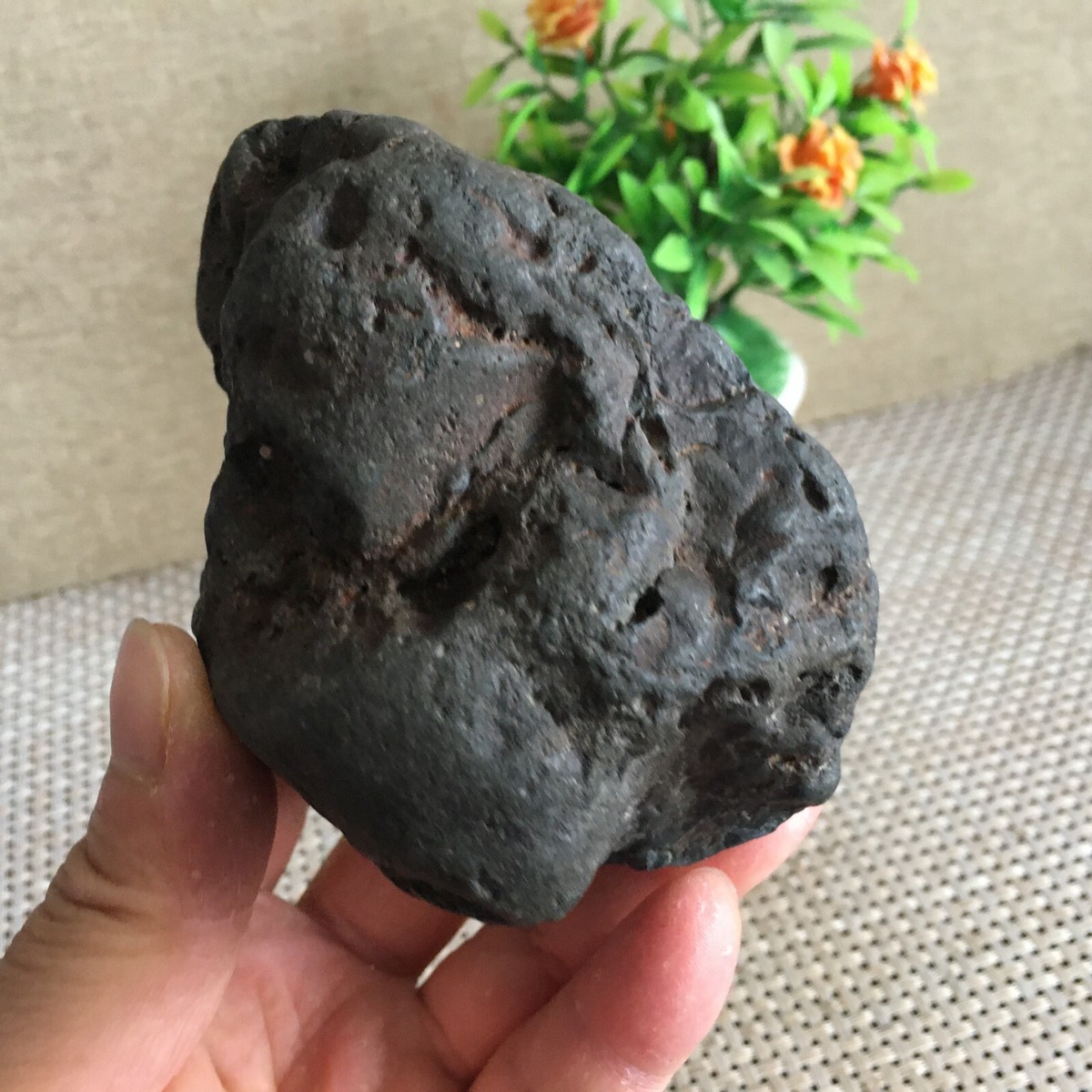 792g Natural Iron nickel Non-magnetic Meteorite Specimen from