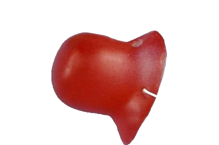 Foro Novedades 24707 Nariz Chirriante Payaso Rojo Disfraz Accesorio Circo Teatro. Foto 3 de 4