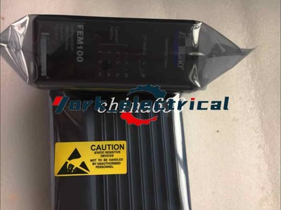1PC for NEW FEM100 No packaging DHL or Fedex