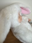 Bild 3 von 6