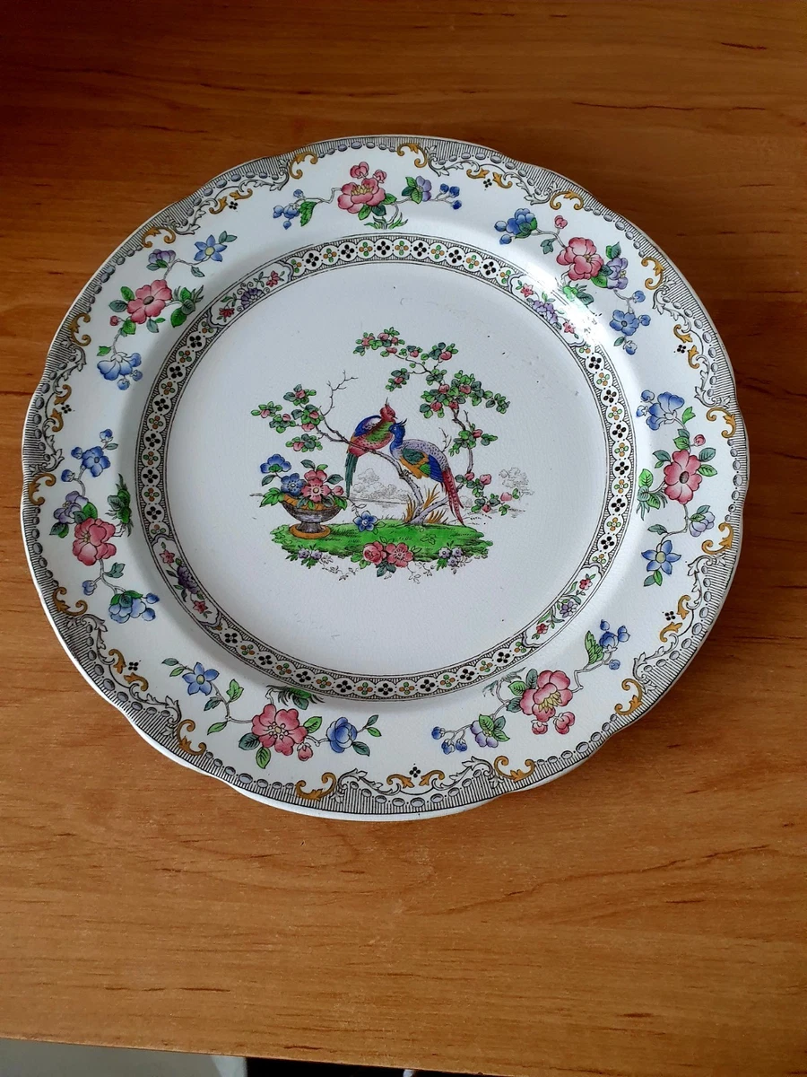 Spode Copeland Dinner Plates 1900-1919 for sale | eBay UK