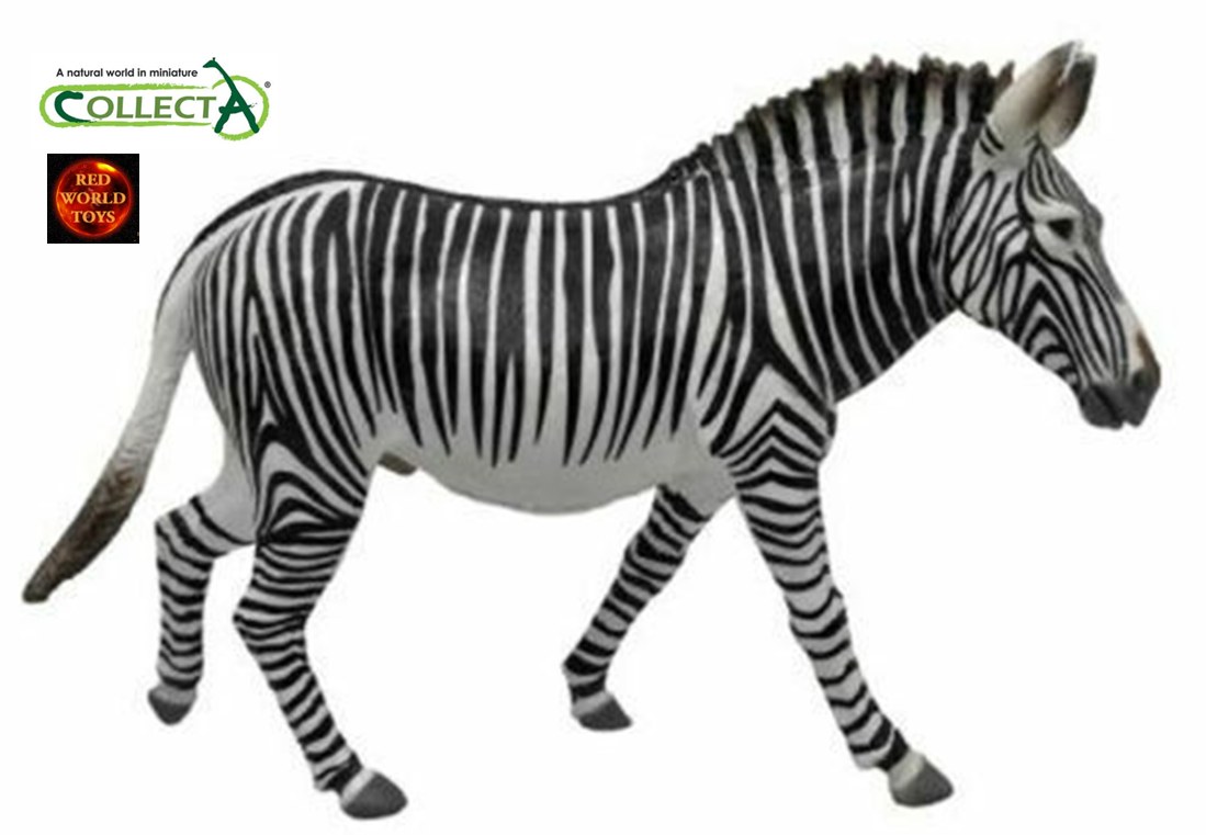 Grevys Zebra African Wildlife Animal Toy Model Figure by CollectA