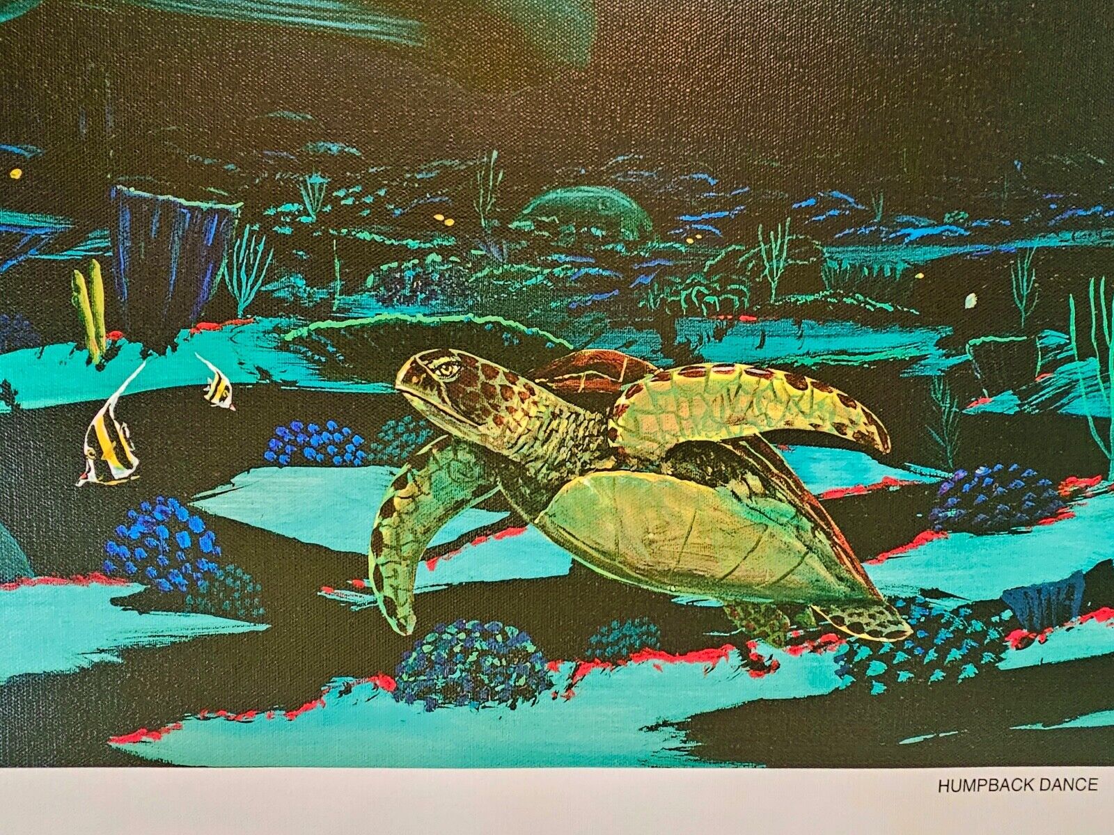 Picture 8 of 12