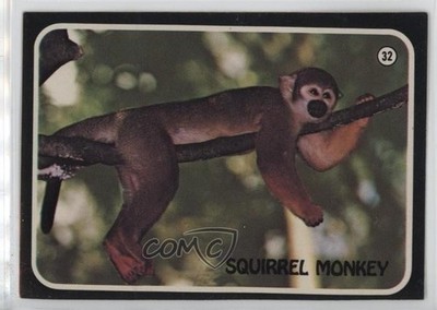 1975 Topps Zoo's Who Stick-Ons Squirrel Monkey #32 0kb5