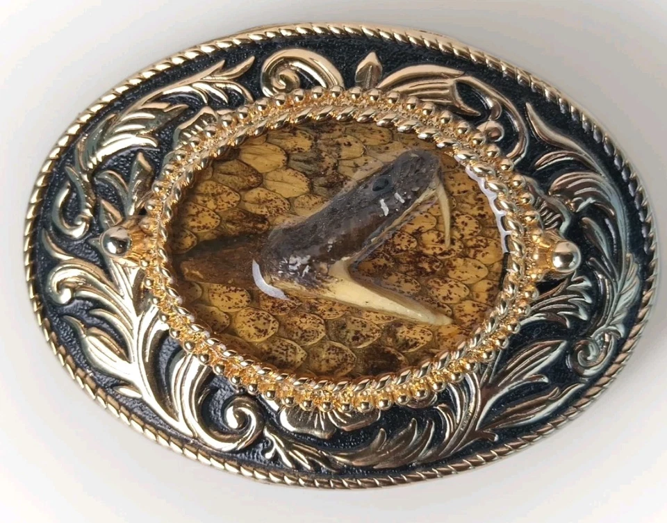 Snake Head Belt Buckle!  (Rare Taxidermy) - Image 2 of 4