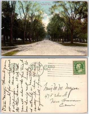Avenue Sheffield MA Tree Lined Postcard