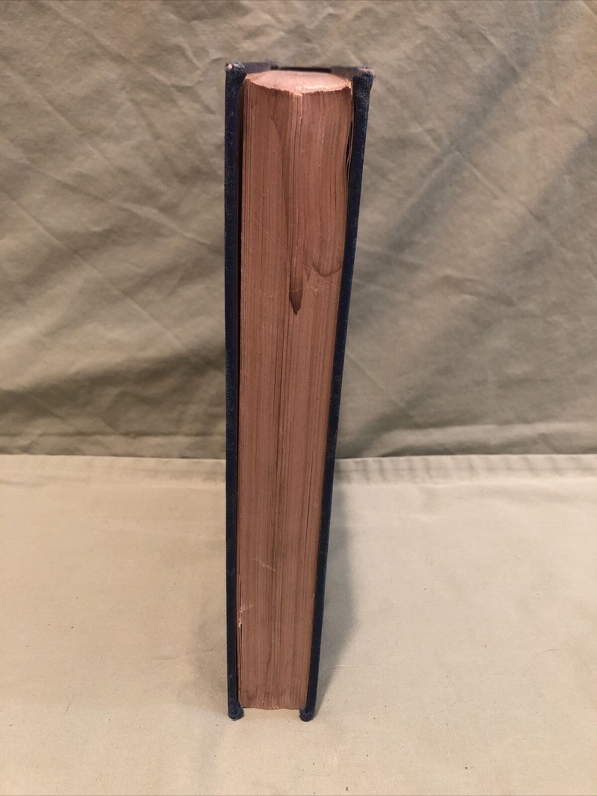 Picture 4 of 12