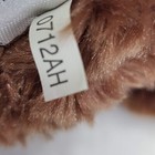 Bild 11 von 13