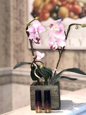 L'Occitane Reset Oil in Serum 0.16 oz Travel Size Brand New Lot Of 2