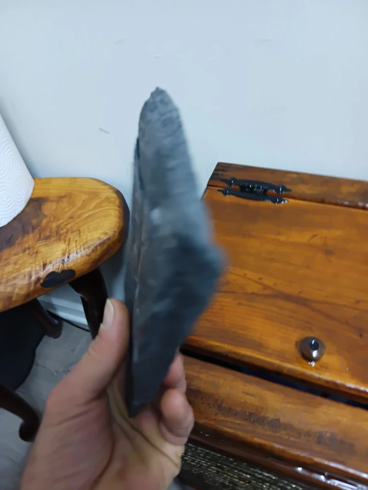 Slate Rock W/ Fossil Imprints(6.5"X5x3/4") - Image 3 of 4