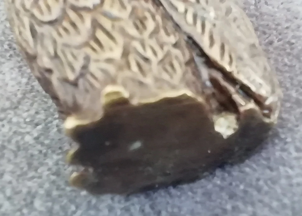 Jolie Petite chouette Hibou en Bronze Décoration - Photo 3/4