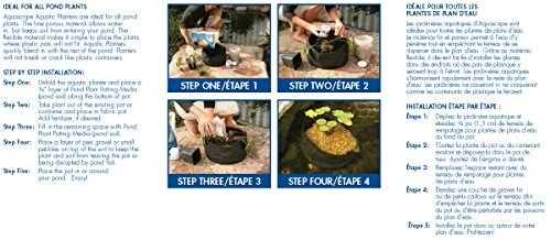 Macetas para plantas acuáticas Aquascape para estanque y jardín acuático, 8 pulgadas x 6 pulgadas, negras, Foto 4 de 4