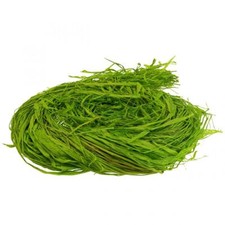 Naturbast Raffiabast Basteln Dekobast Floristikbedarf Apfelgr&uuml;n 200g vielseitig