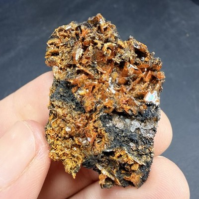 Orange Wulfenite Crystal Cluster / South Geronimo Mine Arizona *Video*