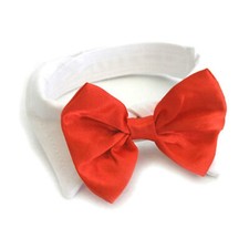 Doggie Design White Collar with Red Satin Bow Tie