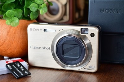  [Excellent+5]  Sony Cyber-shot DSC-W170 Gold Digital Camera Japanese only