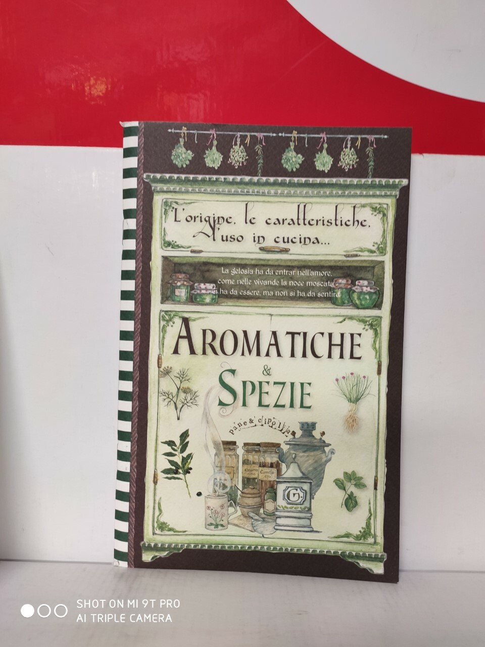 Aromatiche & spezie. Pane e cipolla 9788867211821