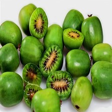 50 Issai Kiwi Seeds Arctic Grape Superfruit Garden Plant Cold Hardy Fast Vine