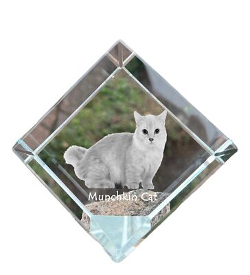 Munchkin Katze - Kristallwürfel mit Katzenbild, Pferdebild im Kristall, sechseck