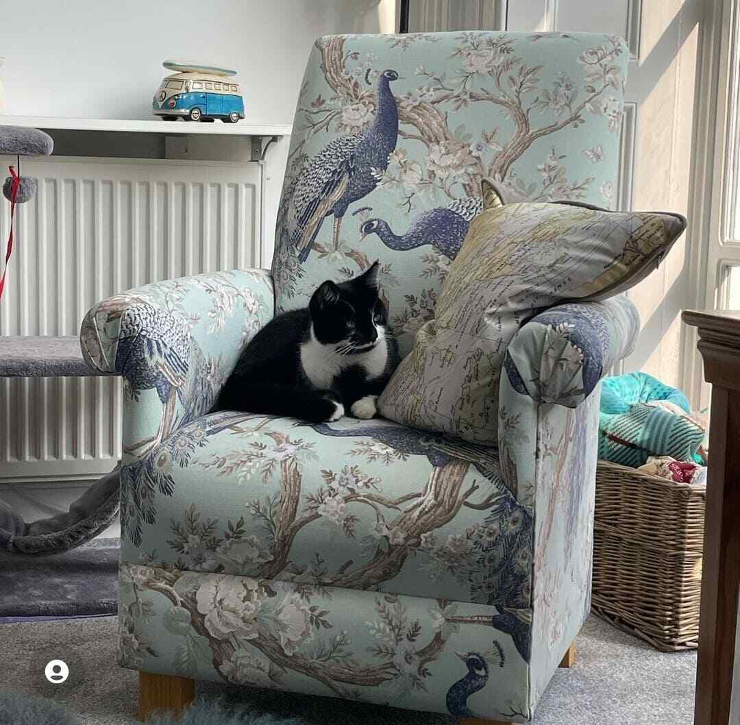 Chair Laura Ashley Kidswear LAURA ASHLEY BELVEDERE Fabric