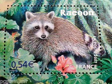 FRANCE, 2007, timbre 4034, ANIMAUX, RACOON, ANIMALS, neuf** MNH STAMP