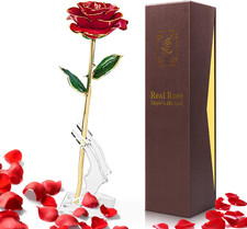 24K Gold Dipped Real Rose with Stand - Forever Gift for Her, Red