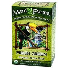 Original Fresh Green Tea 24 Bag  by The Mate Factor