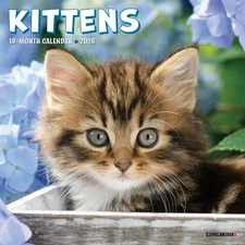 Kittens 2026 7" x 7" Mini Wall Calendar