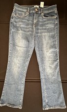 Ann Taylor Loft Size 10 Demi Boot Dark Wash Blue Jeans 26  Inseam