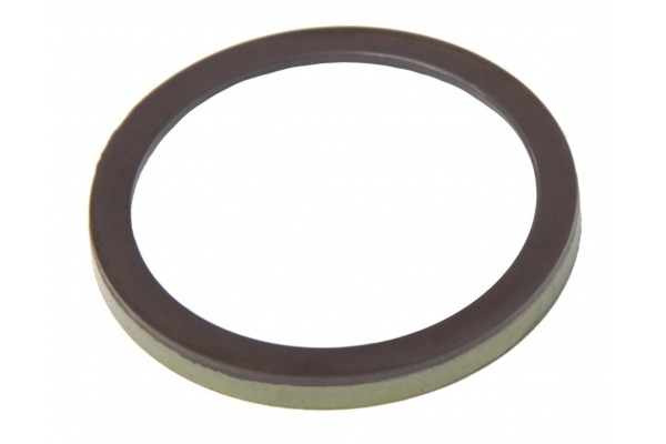 Abs Sensorring Mapco 76141 FüR CitroËN Renault Peugeot Berlingo Megane C6 C5 C4-image