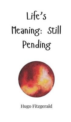 Life's Meaning: Still Pending by Hugo Fitzgerald Hardcover Book