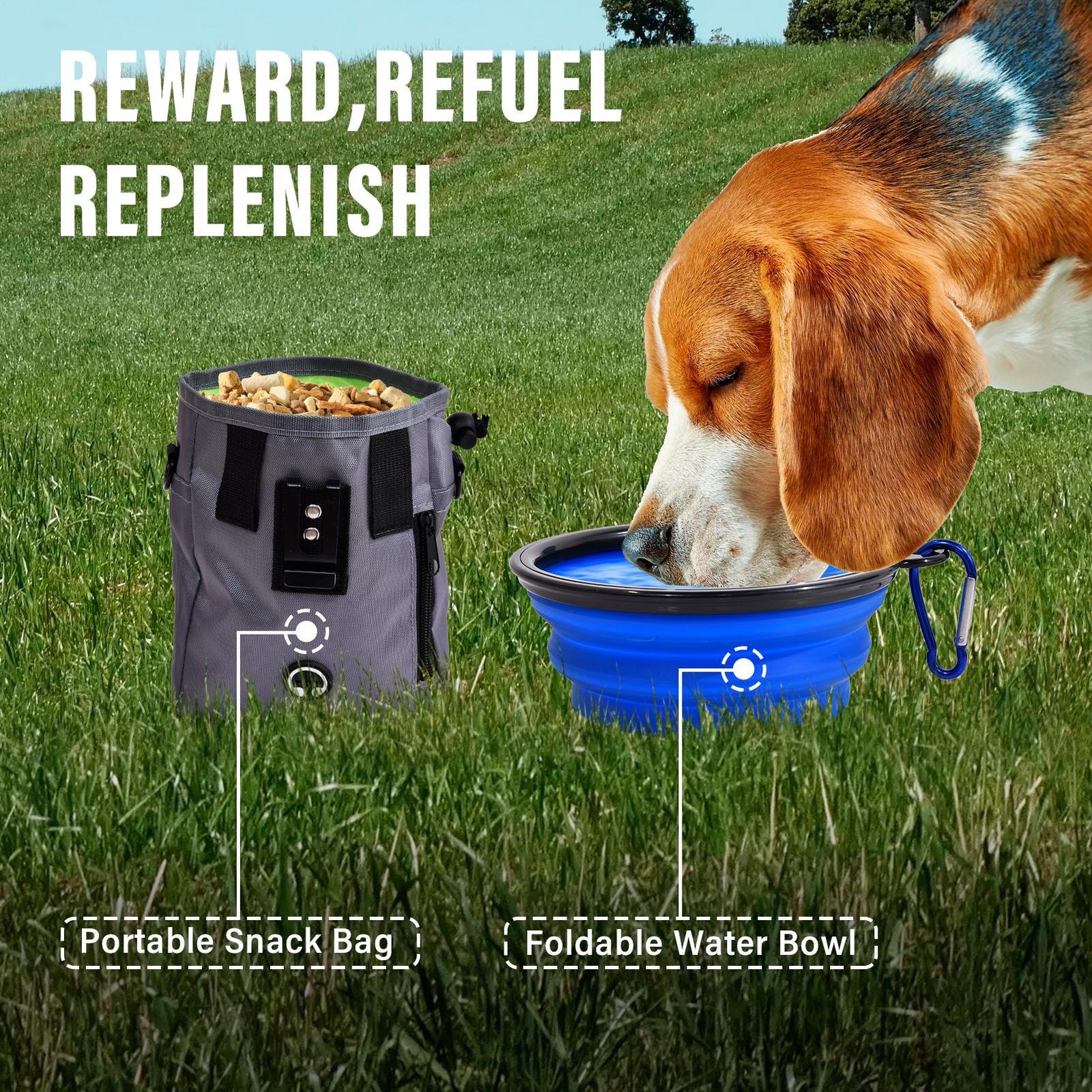 Dog Agility Training Kit Pet Obstacle Course Equipment Backyard 7pcs Set