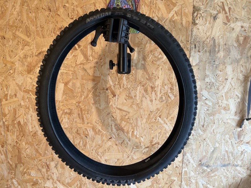 Maxxis Assegai 29x2.5WT 3C MaxxTerra EXO+ in Black