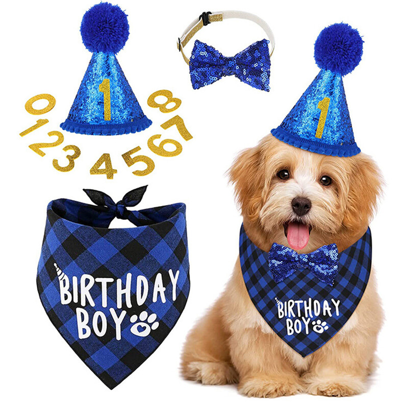 Pet Dog Cat Happy Birthday Hat Headwear Bandana Neckerchief Ties Party