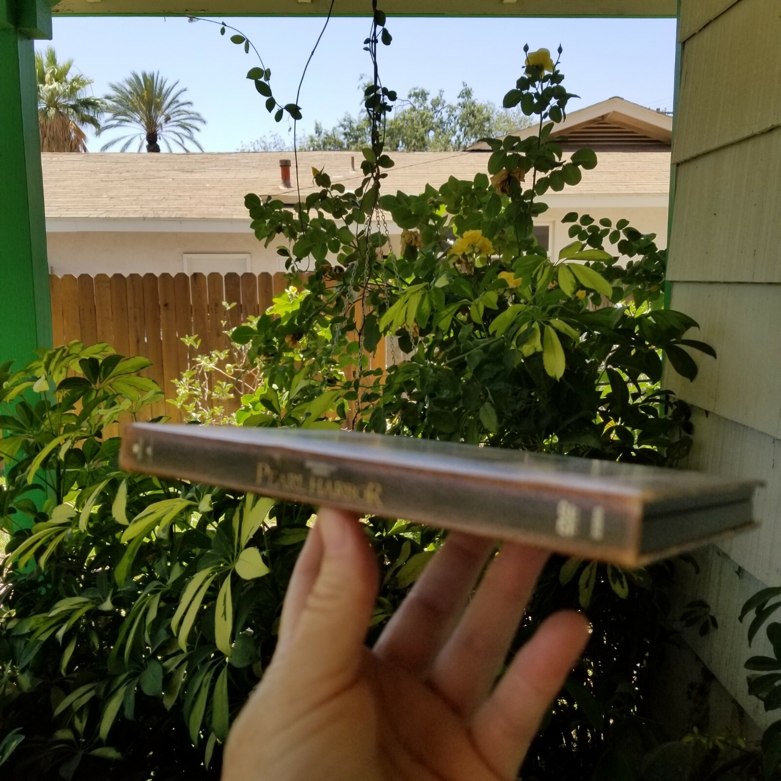 Picture 5 of 7