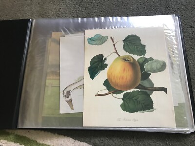 28 vintage Prints various subjects - Rexel A3 slim view file - framing/scrapbook