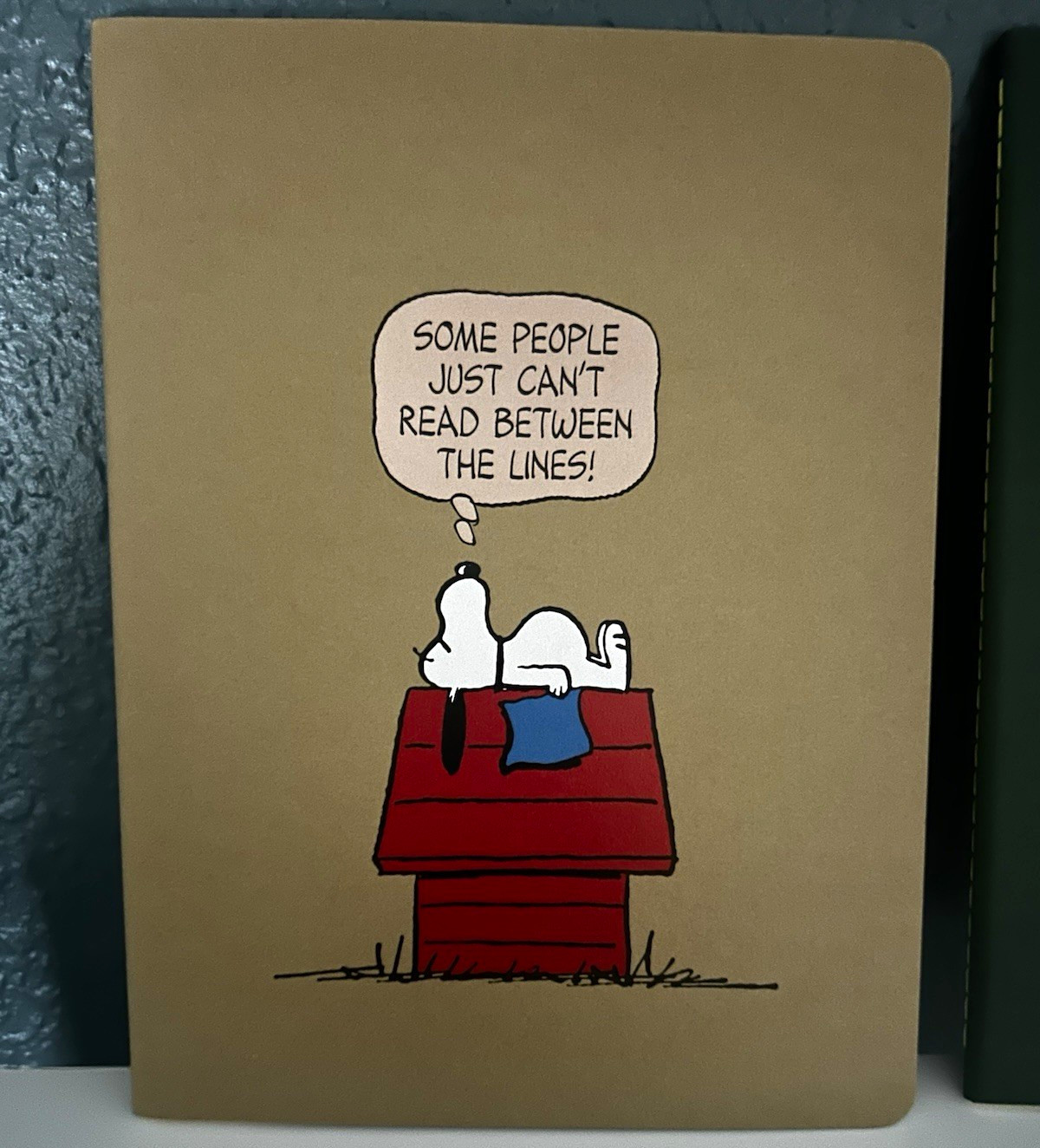 Moleskine x Peanuts Set of 2 Illustrated Cover Ruled Journals