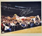 Dennis Rodman signed Bulls 16x20 photo Diving autograph ~ Beckett BAS Witness