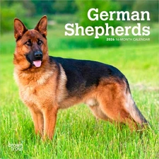 German Shepherds | 2026 7x14" (Hanging) Monthly Mini Wall Calendar
