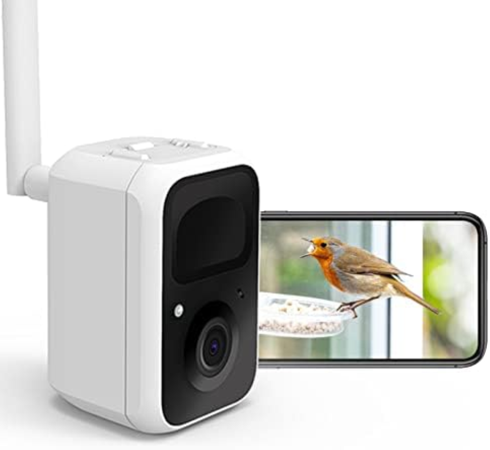 NETVUE Birdfy Telecamera Intelligente per Uccelli con Supporti Regolabili a Qual