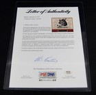 Signed and Framed 1994 Chicago Wolves Team Signed Poster PSA/DNA LOA — photo 8